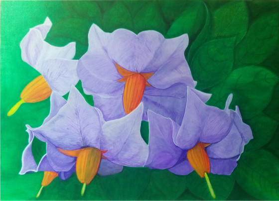 Painting акрилом Картошка