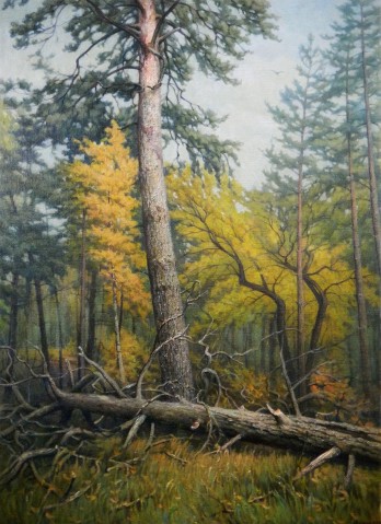 Painting маслом Смешанный лес. Сосна
