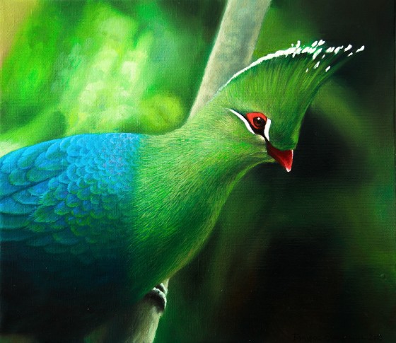 Painting маслом Турако