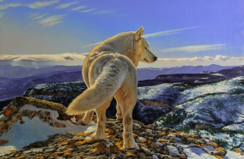 Painting маслом Дыхание гор