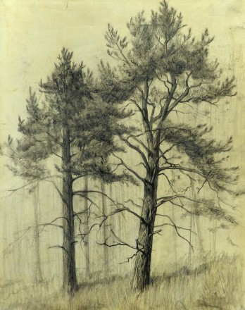 Painting карандашом Два кедра