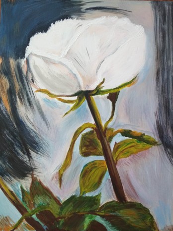 Painting акрилом Белая роза