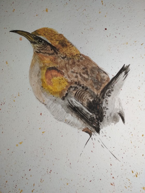 Painting акварелью Просто птичка