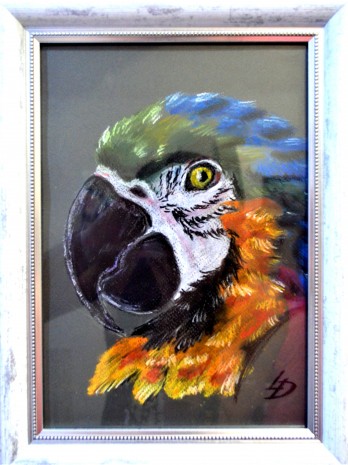 Painting пастелью "мистер Ара"