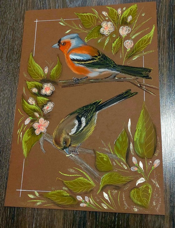 Painting пастелью Зяблики