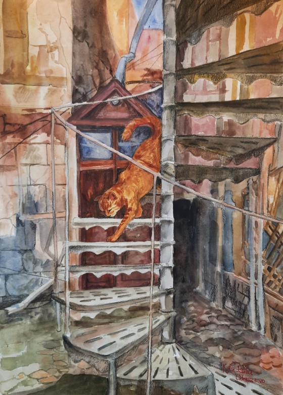 Painting акварелью Кот в одесском дворике