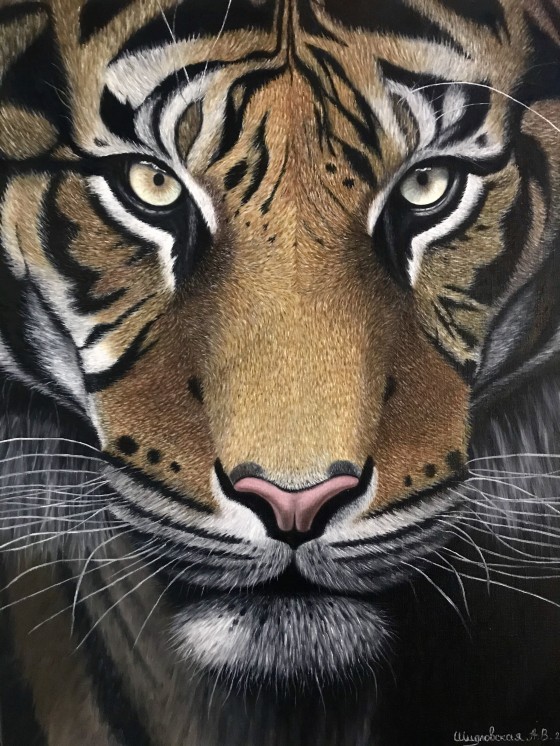 Painting маслом Тигр