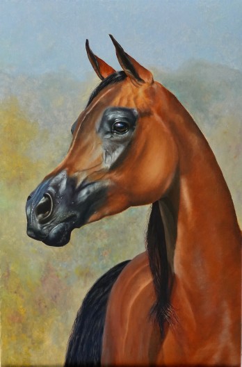 Painting маслом Арабский скакун 