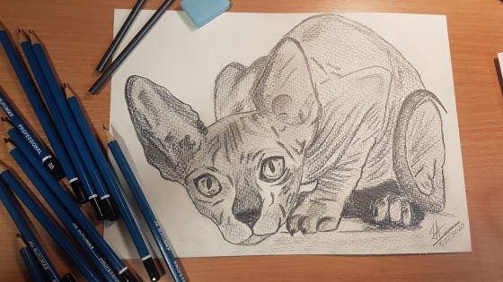 Painting карандашом Сфинкс