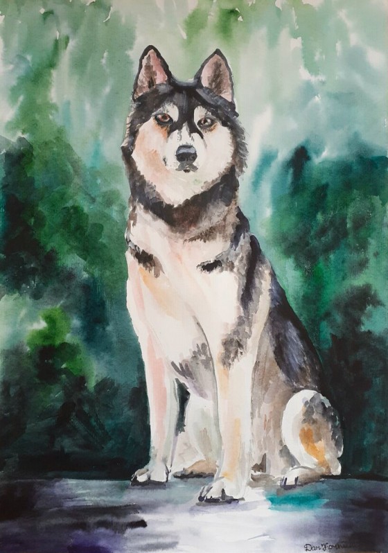 Painting акварелью Хаски