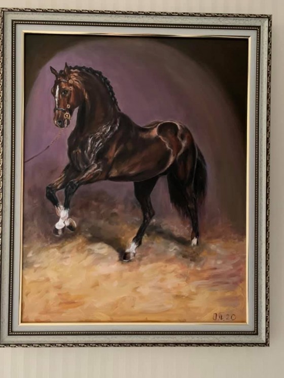 Painting маслом жеребец
