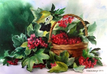 Painting акварелью Корзинка с калиной