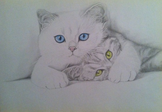 Painting карандашом Котики