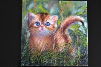 Painting маслом Рыжий котенок