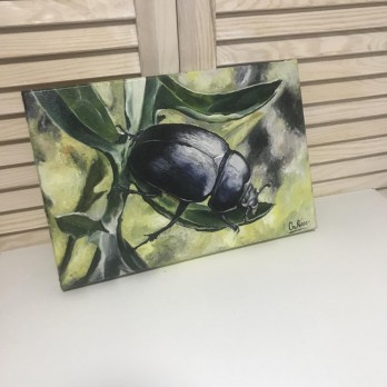Painting маслом Скарабей