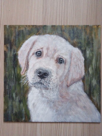 Painting акрилом Плюшевый зефир