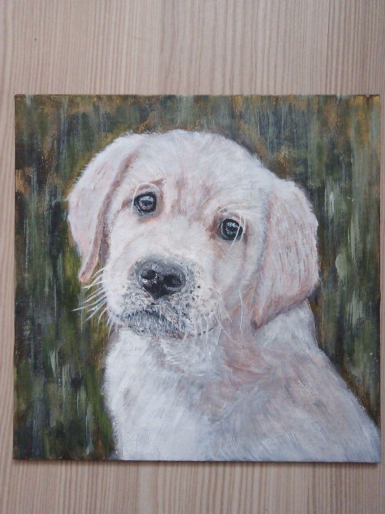 Painting акрилом Плюшевый зефир