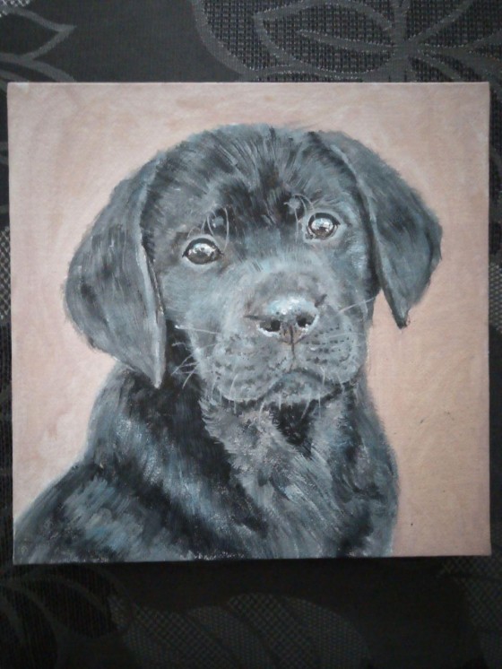 Painting акрилом Velvet Miracle