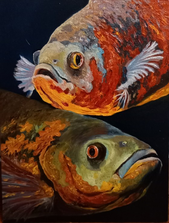 Painting маслом Астронотусы