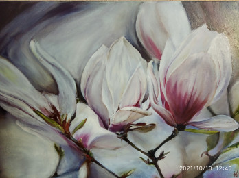 Картина маслом "Szczecińska magnolia"