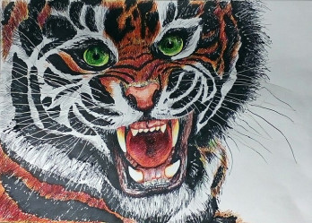 Картина  Рассерженный тигр