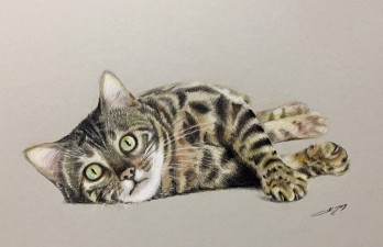 Картина карандашом «Время играть»