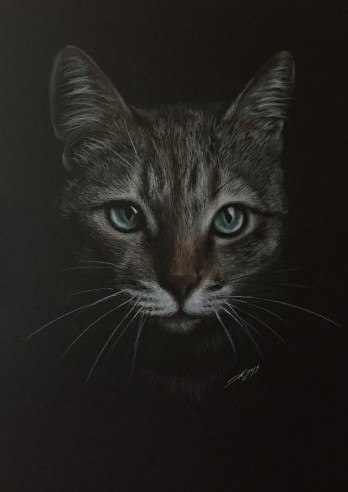 Картина карандашом Gray cat 