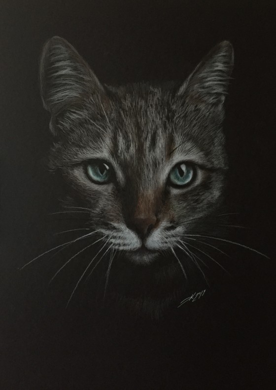 Картина карандашом Gray cat 