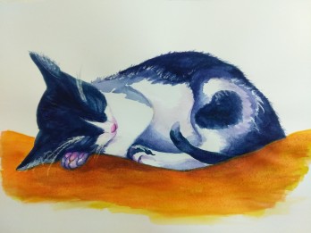 Картина акварелью Спящий котёнок