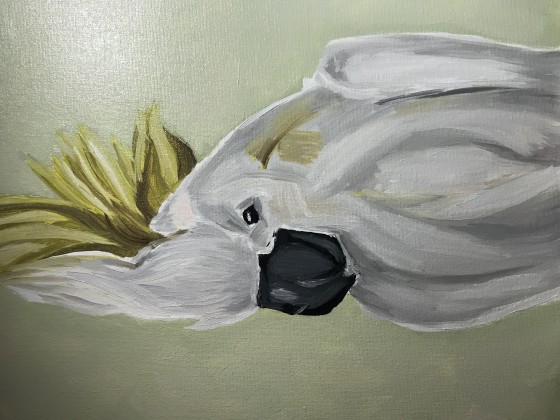 Картина маслом Попугай