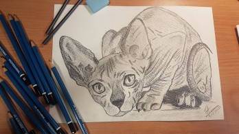 Картина карандашом Сфинкс