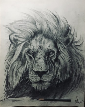 Картина карандашом Царь зверей