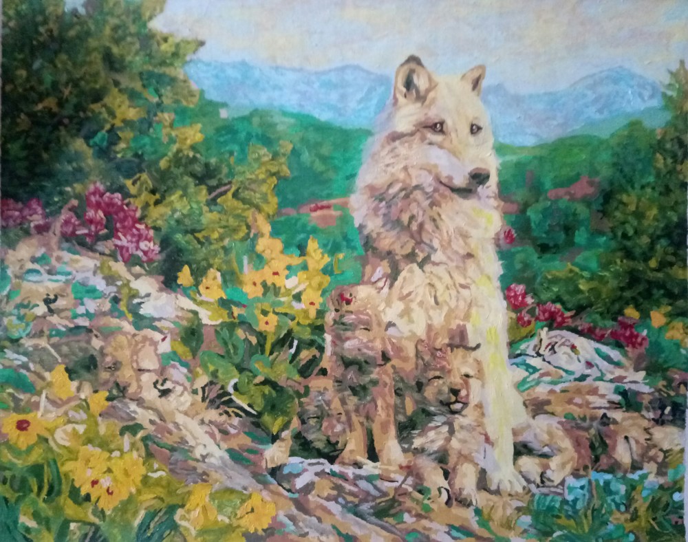 Волк и волчица в природе - 72 фото