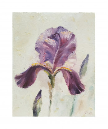 Картина маслом Ирис / Iris flower