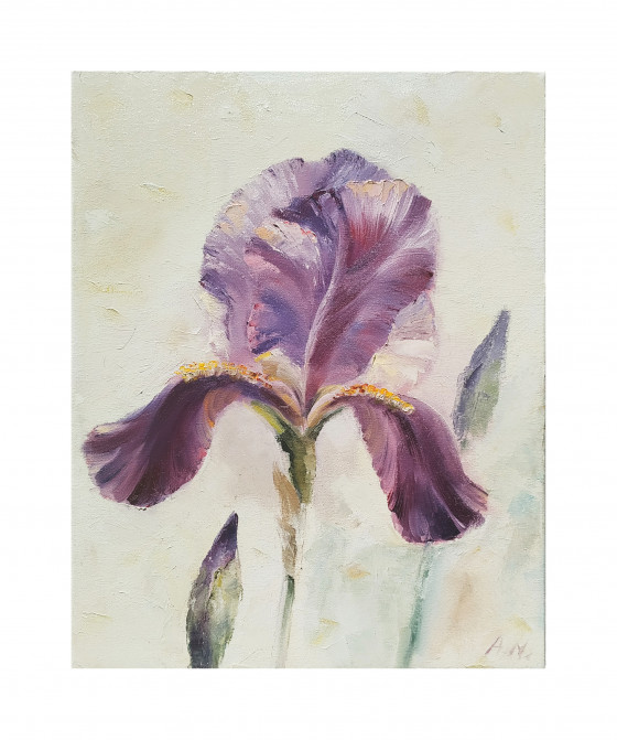 Картина маслом Ирис / Iris flower
