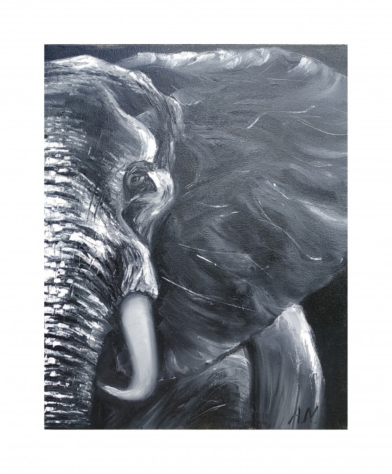 Картина маслом Слон /  Elephant