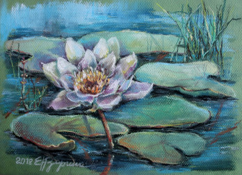 Картина пастелью Водяная лилия
