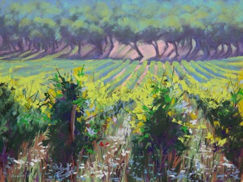 Картина пастелью Виноградники Прованса