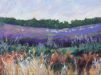 Картина пастелью Лавандовое море