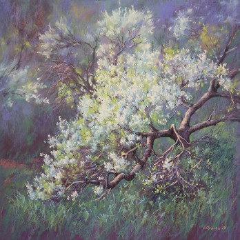 Картина пастелью Вишни в Коломенском