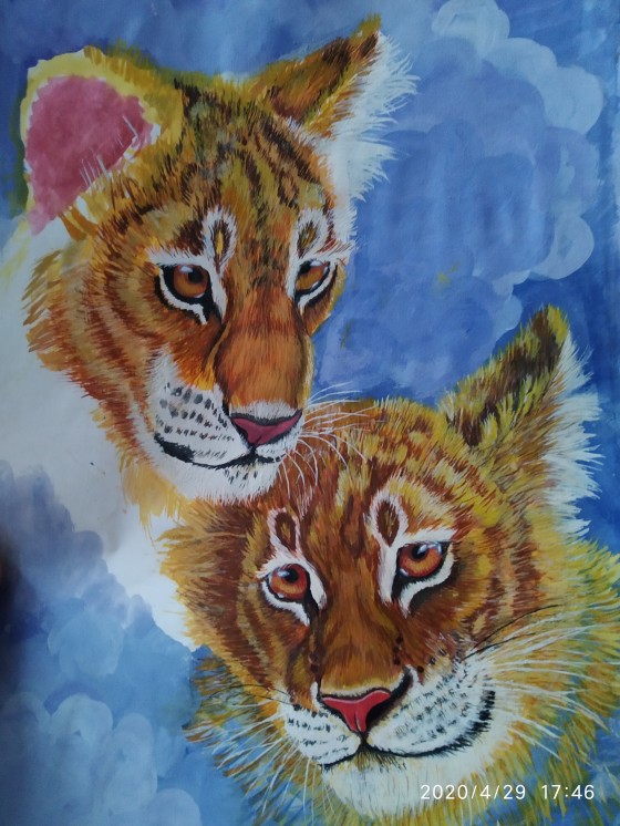 Картина акварелью Тигры