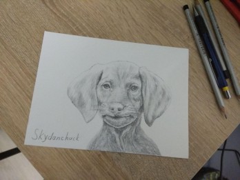 Картина карандашом Песик