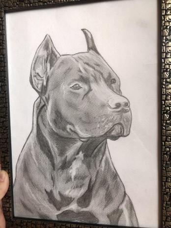 Картина карандашом Собака 